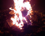 Bonefire